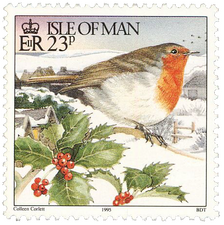 Erithacus rubecula - European Robin Erithacus rubecula - European Robin